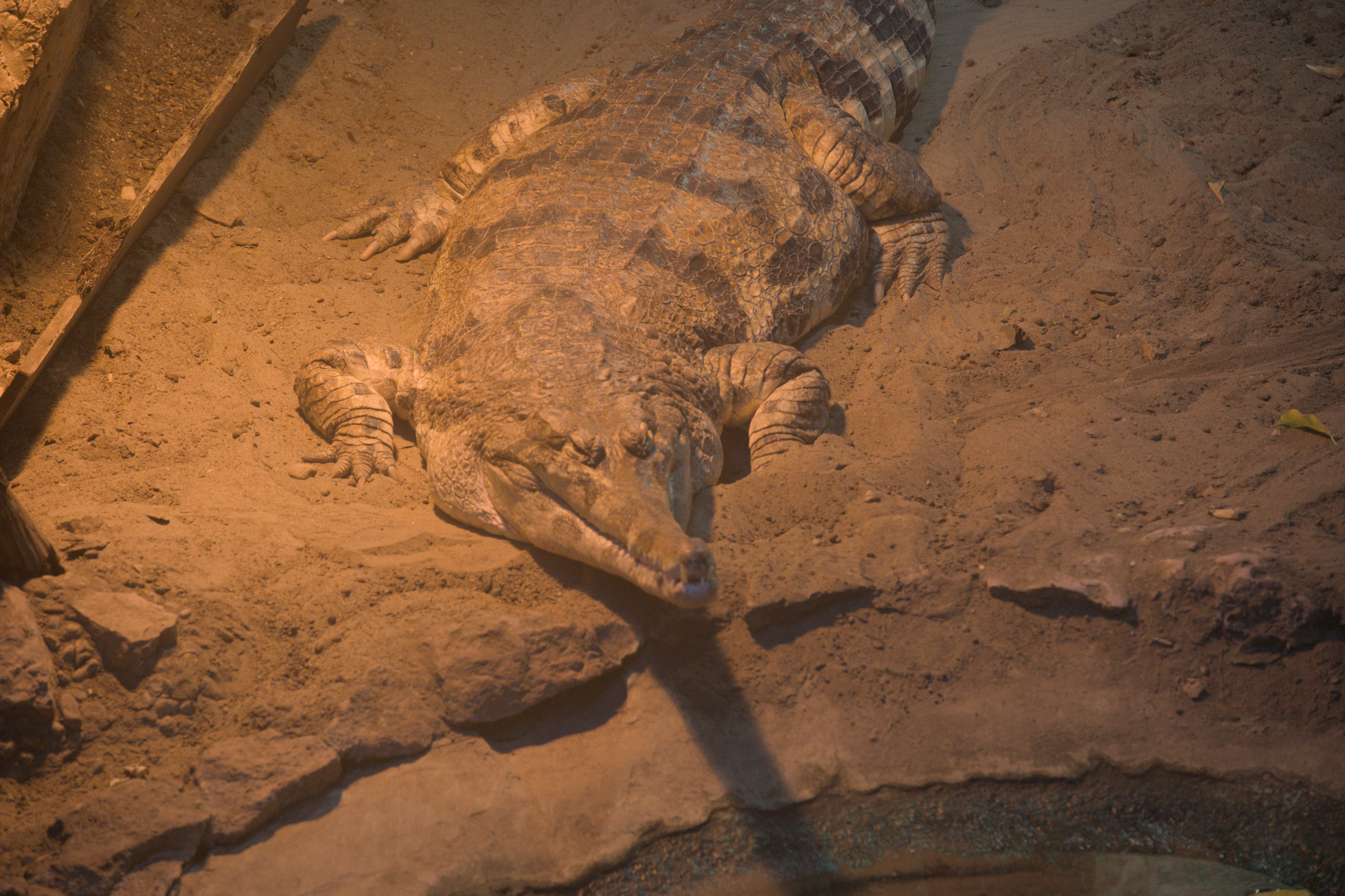 2025/10/12 - zoo/DSC_0158.jpg